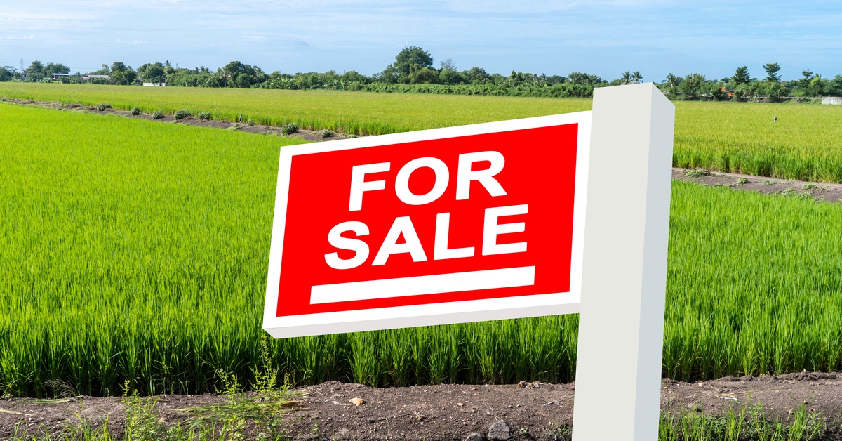 Farmland with a "for sale" sign in front of it. There's water flowing next to the farmland, with a row of trees further back.