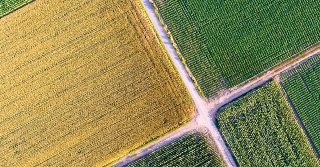 An overhead view of a few plots of farmland. Many of the plots are green, but one of them is light brown.