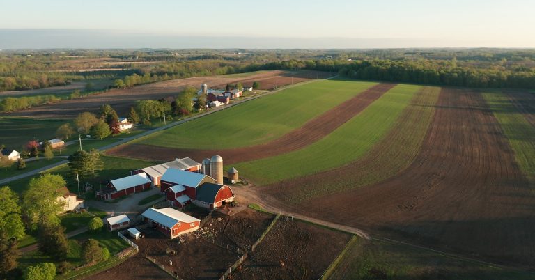 An overhead view of a farm. There are multiple barns clumped together and large expanses of open fields.