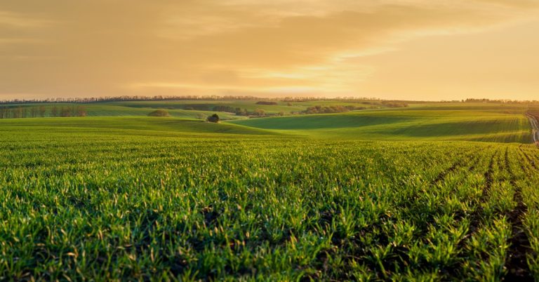 A view of some farmland stretching across some rolling hills. The sky is orange due to a setting sun.