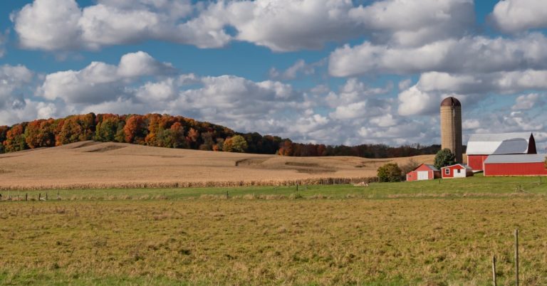 A section of farmland with a barn nearby. There is also a colorful group of trees further in the background.