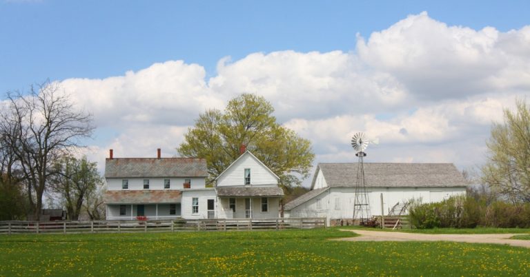 A white farmhouse and barn sitting behind an old wooden fence. The field in font of the house is full of dandelions.