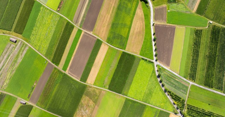 An overhead view of multiple tracts of farmland, all of them different from each other. A few roads are spread throughout.