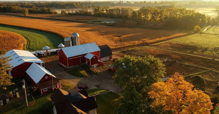 An aerial view of autumn farm fields with multiple barns and tree-lined land across the rural countryside.