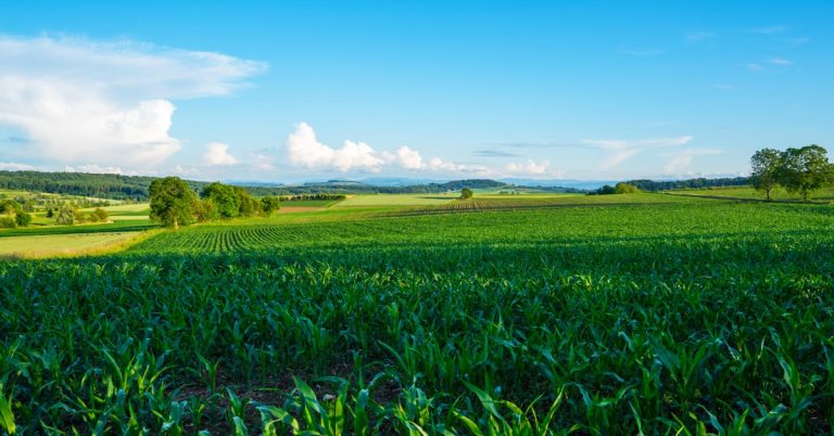 Green crop rows stretching across rolling farmland, with scattered trees and a bright blue sky overhead.