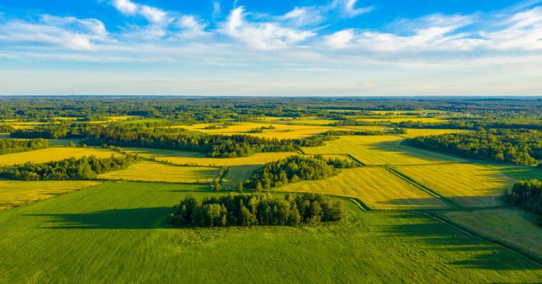 An aerial view showing green farm fields and meadows all next to each other, with tree lines dividing them.